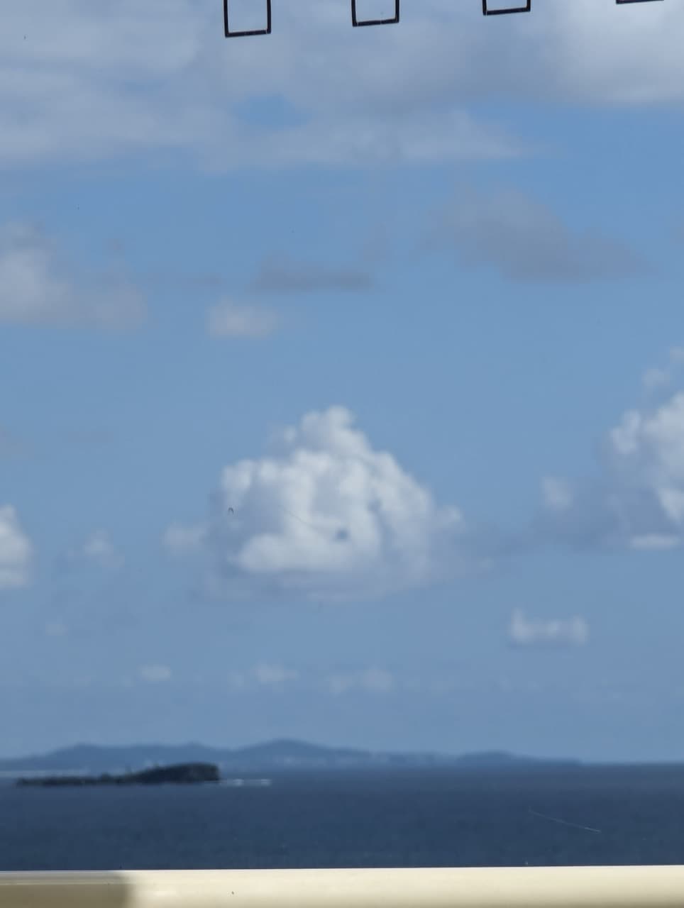 Check out this cloud, looks like a dolphin...